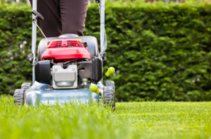 lawn mowing services Adelaide